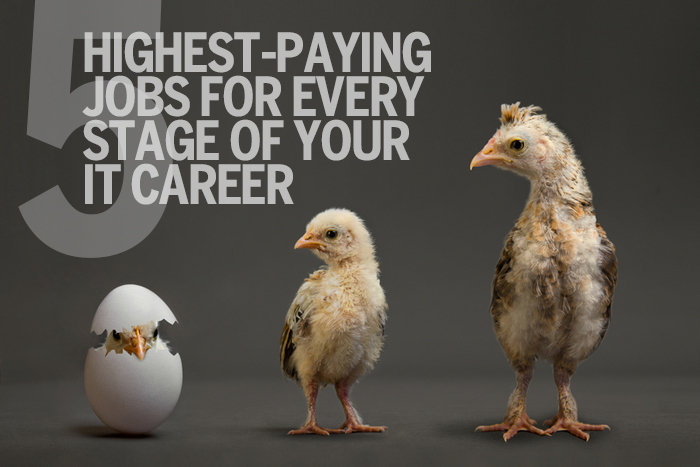 5 top-paying IT jobs for every stage of your tech career