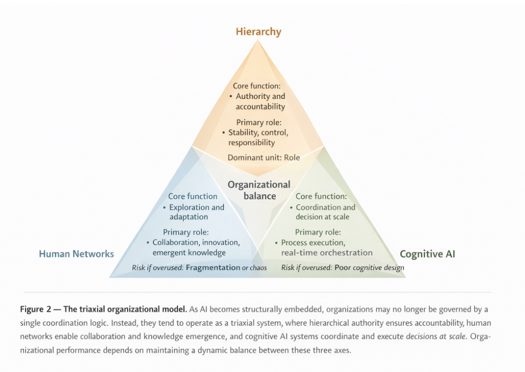 Triaxial organizational model